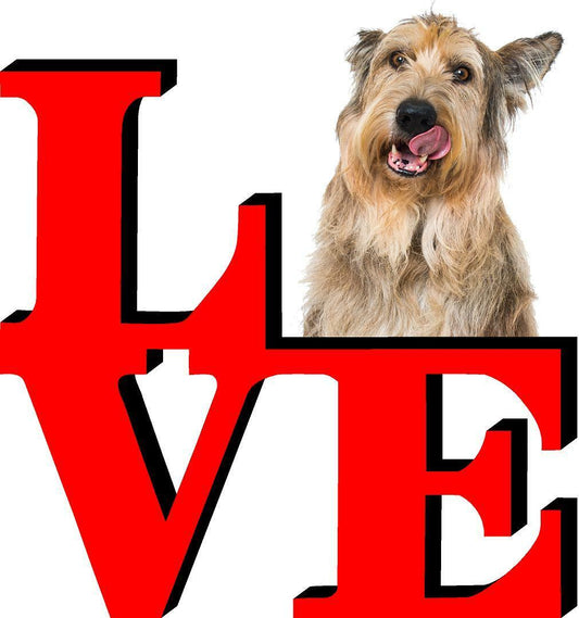 Berger Picard Love Park Cute Dog Fridge Refrigerator Car Magnet