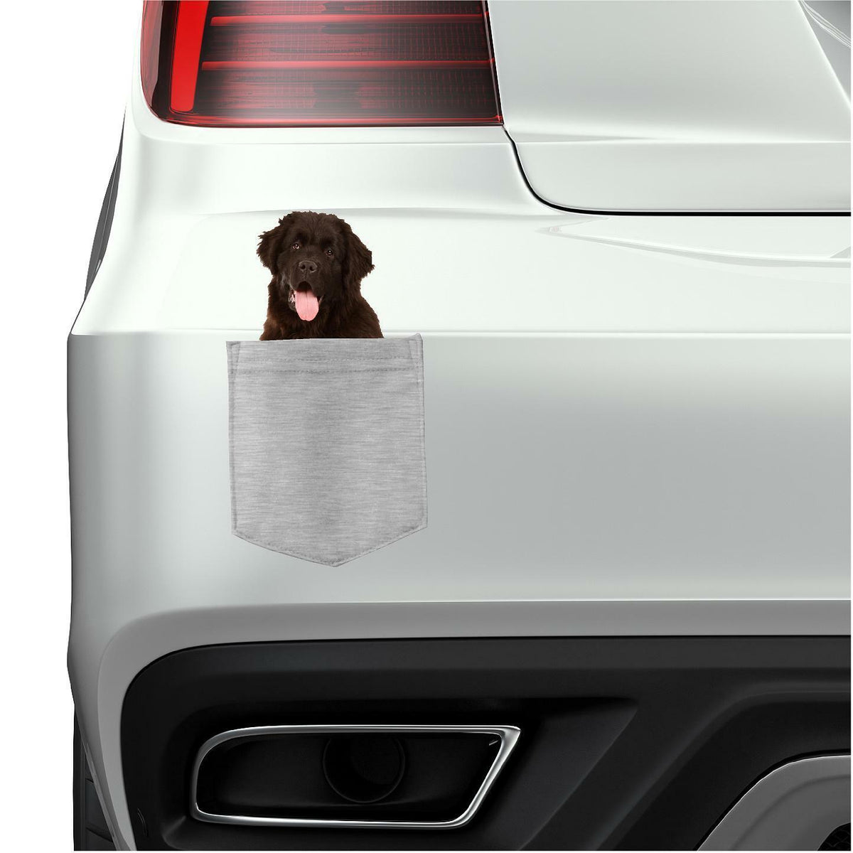 Newfoundland Dog in pocket Fridge Car Magnet Bumper Sticker App size 4"x7"