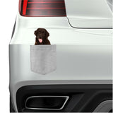 Newfoundland Dog in pocket Fridge Car Magnet Bumper Sticker App size 4"x7"
