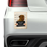 Dogues De Bordeaux Mugshot Bad Dog Fridge refrigerator Car Magnet