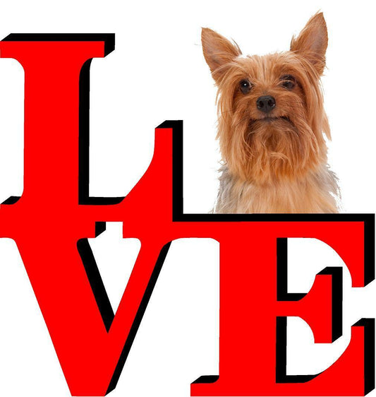 Silkey Terrier Cute Dog Fridge Refrigerator Car Magnet