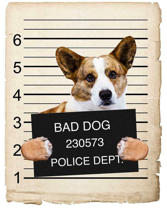 Cardigan Welsh Corgi Mugshot Bad Dog Fridge refrigerator Car Magnet