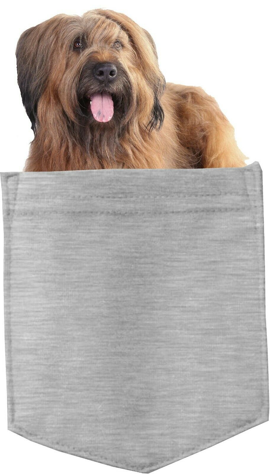 Briard Dog in pocket Fridge Car Magnet Bumper Sticker App size 4"x7"