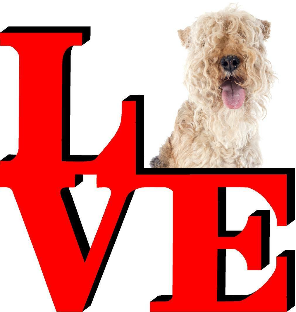 Lakeland Terrier Dog Love Park Dog Fridge Refrigerator Car Magnet