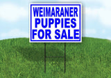 Weimaraner PUPPIES FOR SALE BLUE Yard Sign Road with Stand LAWN SIGN