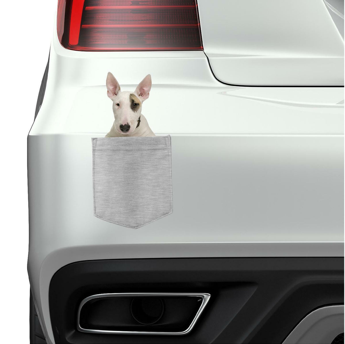 Bull Terrier Dog in pocket Fridge Car Magnet Bumper Sticker App size 4"x7"