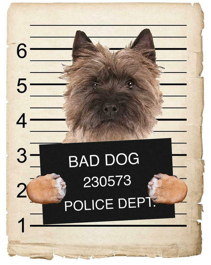 Cairn Terrier Mugshot Bad Dog Fridge refrigerator Car Magnet