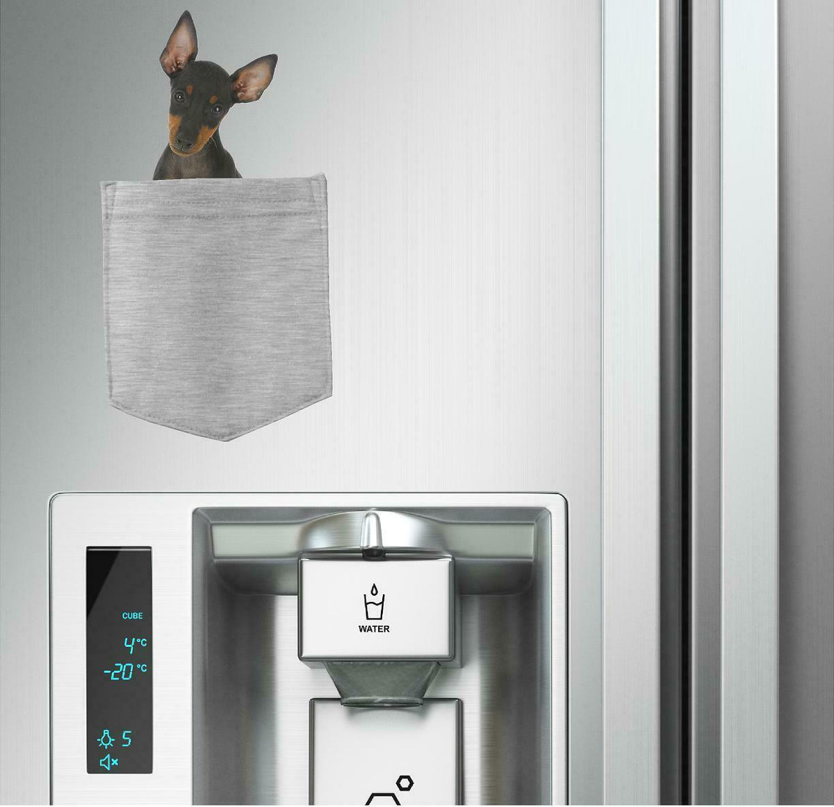 Manchester Terrier Dog in pocket Fridge Car Magnet Bumper Sticker App size 4"x7"