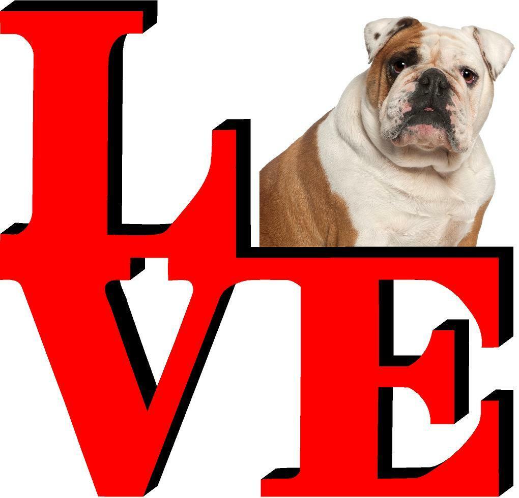 French Bulldog Dog Love Park Dog Fridge Refrigerator Car Magnet