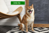 BERGER PICARD LANE 24"x6 ALUM COMPOSITE SIGN