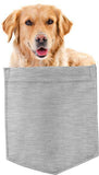 Golden Retriever Dog in pocket Fridge Car Magnet Bumper Sticker App size 4"x7"