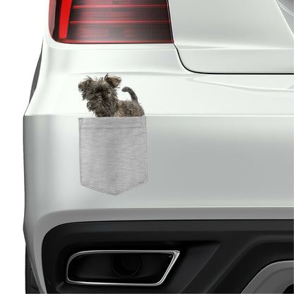 Affenpinscher Dog in pocket Fridge Car Magnet Bumper Sticker App size 4"x7"