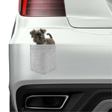 Affenpinscher Dog in pocket Fridge Car Magnet Bumper Sticker App size 4"x7"