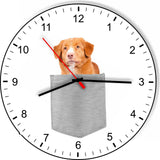 Nova Scotia Duck Toller In Your Pocket Dog kitchen living room Wall Clock