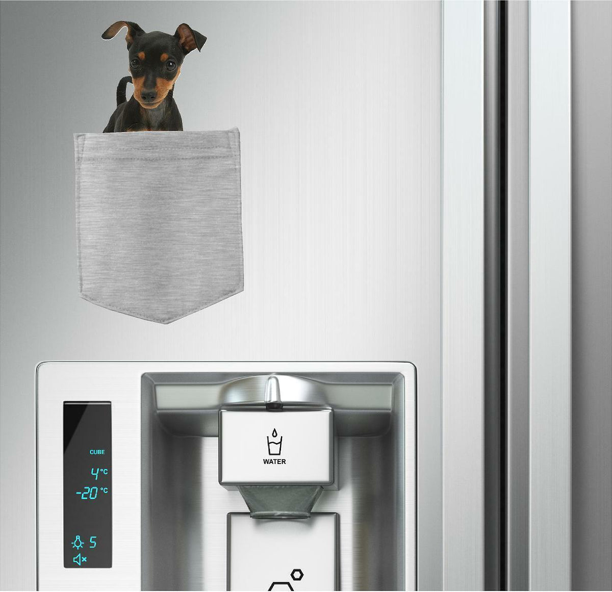 Miniature Pincher Dog in pocket Fridge Car Magnet Bumper Sticker App size 4"x7"