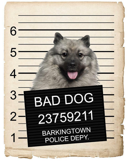 Keeshonden  Mugshot Bad Dog Fridge refrigerator Car Magnet