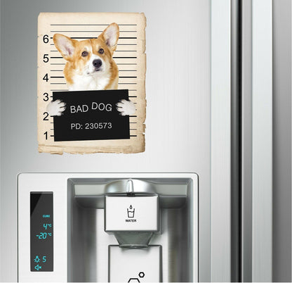 Corgi Mugshot Bad Dog Fridge refrigerator Car Magnet