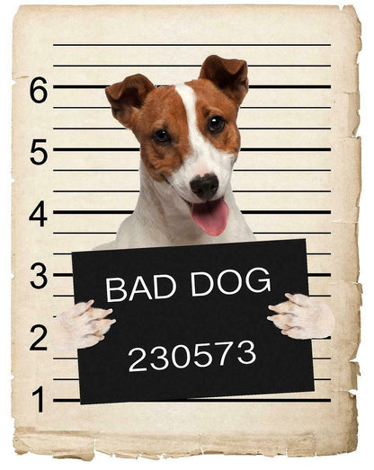 Jack Russel Mugshot Bad Dog Fridge refrigerator Car Magnet