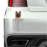 Cairn Terrier Dog in pocket Fridge Car Magnet Bumper Sticker App size 4"x7"