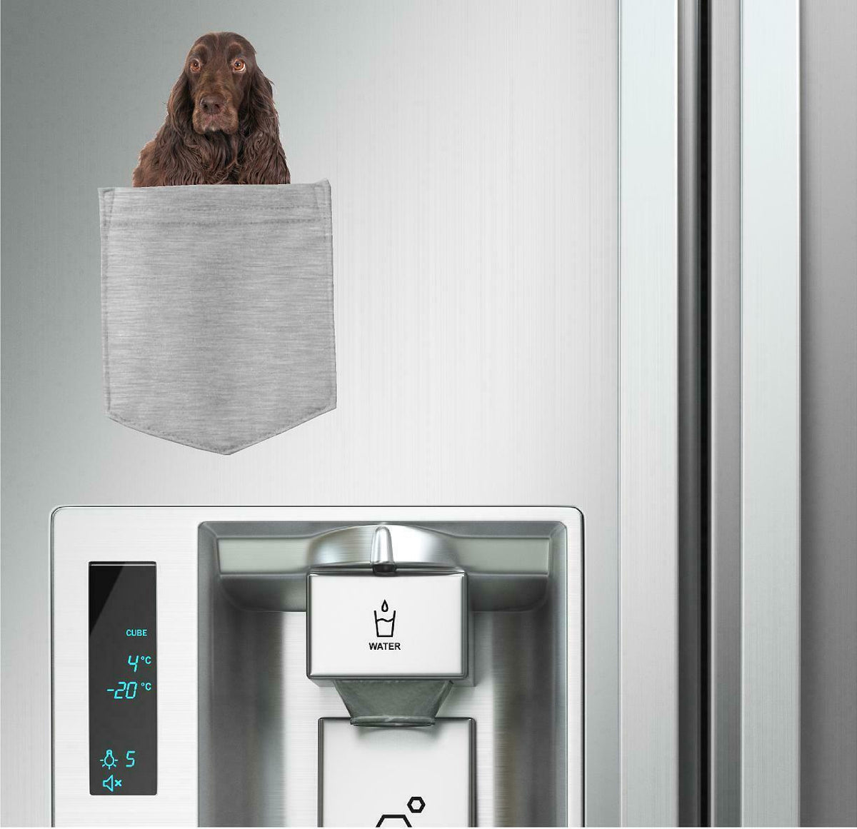 Field Spaniel Dog in pocket Fridge Car Magnet Bumper Sticker App size 4"x7"