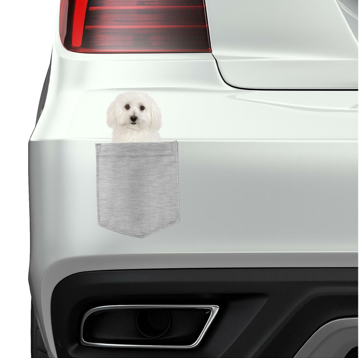 Bichon Frises Dog in pocket Fridge Car Magnet Bumper Sticker App size 4"x7"