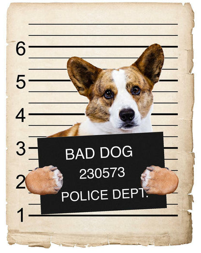 Cardigan Welsh Corgi Mugshot Bad Dog Fridge refrigerator Car Magnet