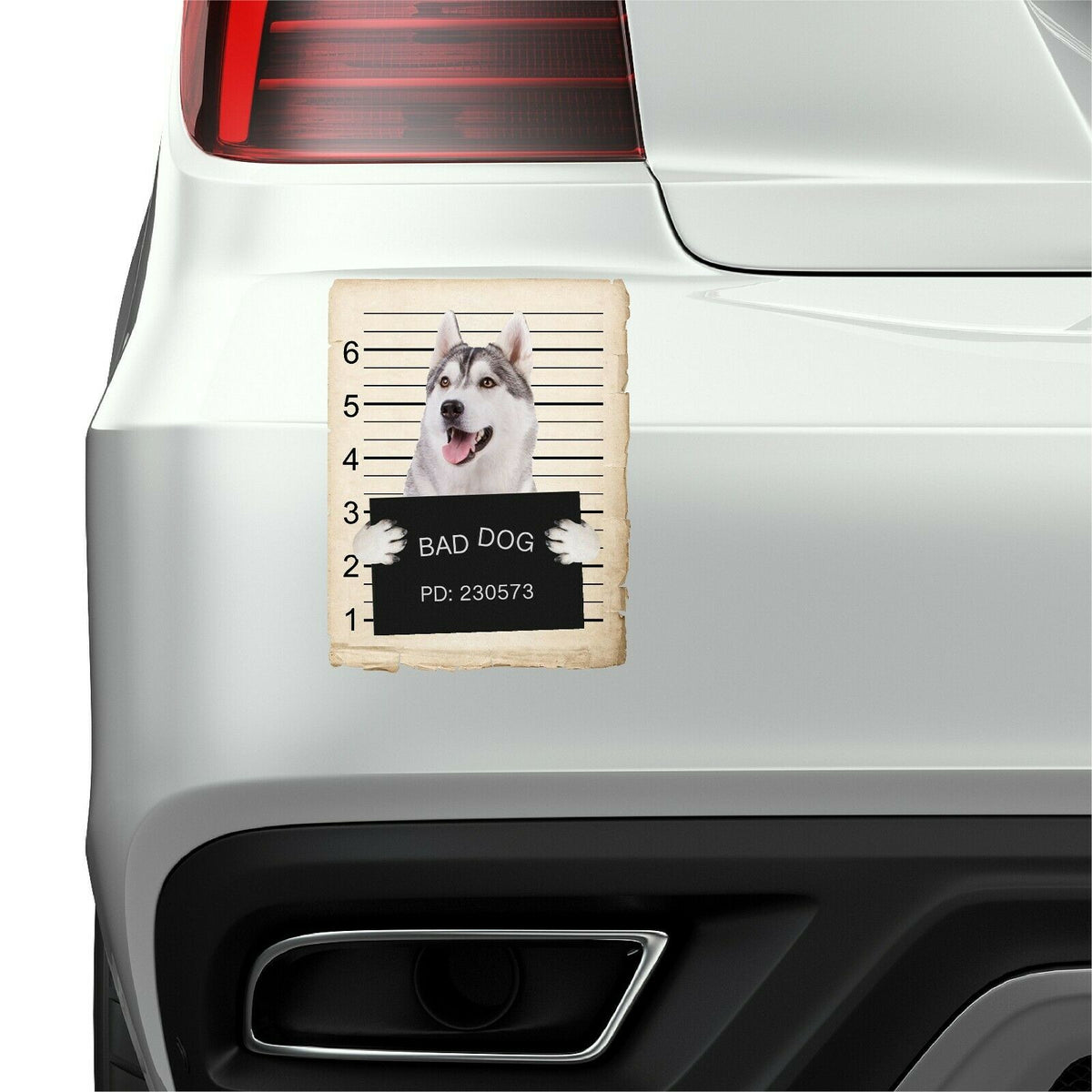 Siberian Huskey Mugshot Bad Dog Fridge refrigerator Car Magnet