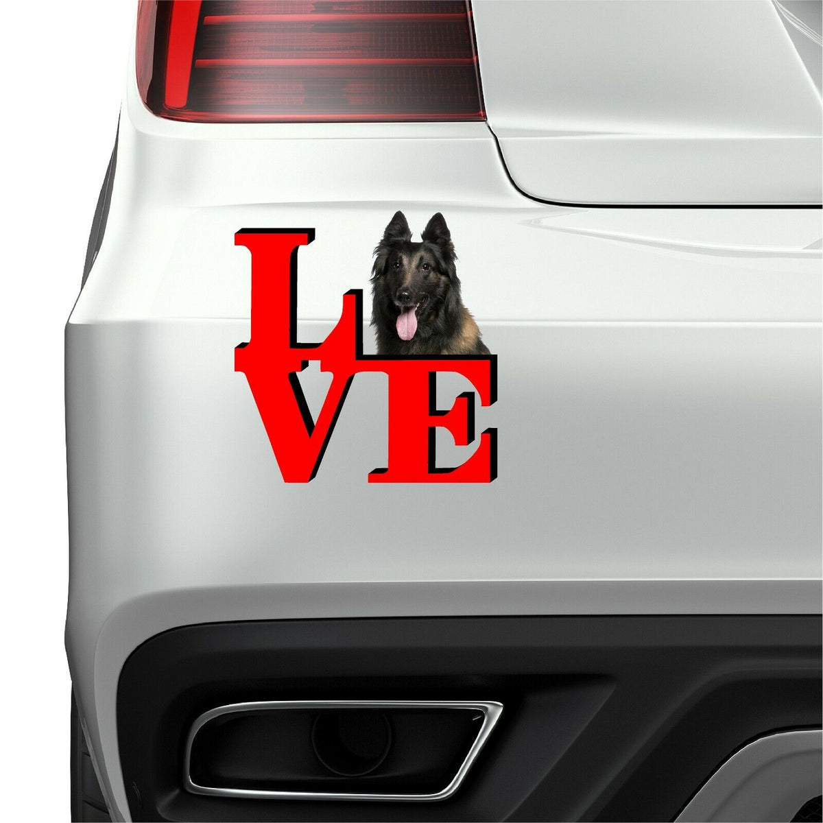 Belgian Tervuren Love Park Cute Dog Fridge Refrigerator Car Magnet