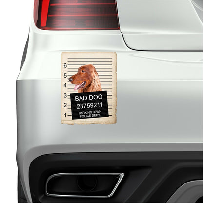 Irish Setter Mugshot Bad Dog Fridge refrigerator Car Magnet