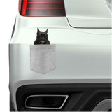 French Bulldog Dog in pocket Fridge Car Magnet Bumper Sticker App size 4"x7"