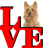 Australian Terrier Love Park Cute Dog Fridge Refrigerator Car Magnet