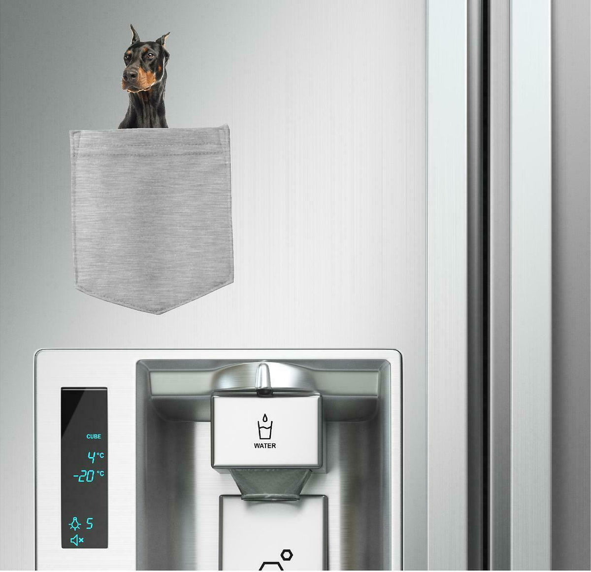 Doberman Pinscher Dog in pocket Fridge Car Magnet Bumper Sticker App size 4"x7"