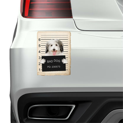 Coton De Tulear Mugshot Bad Dog Fridge refrigerator Car Magnet