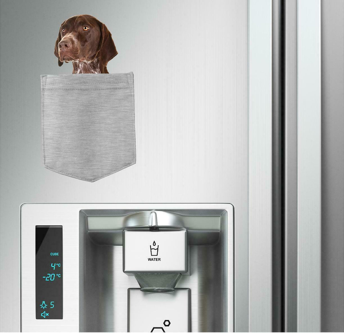 German Shorthair Pointer Dog in pocket Fridge Car Magnet Bumper Sticker