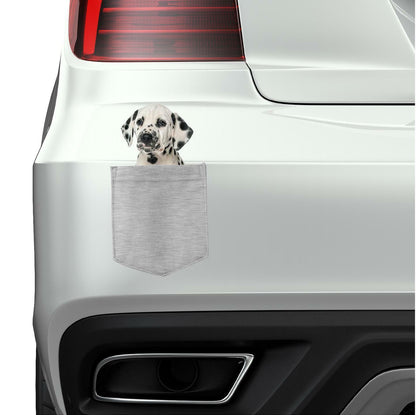 Dalmatian Dog in pocket Fridge Car Magnet Bumper Sticker App size 4"x7"
