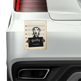 Saluki Mugshot Bad Dog Fridge refrigerator Car Magnet
