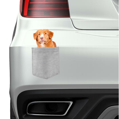 Nova Scotia Duck Toller pocket Fridge Car Magnet Bumper Sticker App size 4"x7"