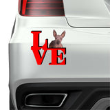 Xoloitzcuintli Cute Dog Fridge Refrigerator Car Magnet