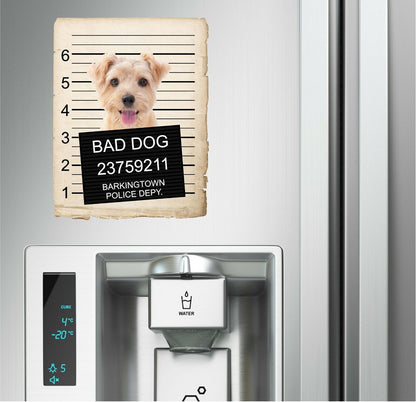 Norfolk Terrier Mugshot Bad Dog Fridge refrigerator Car Magnet
