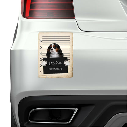 Cavalier King Charles Spaniel Mugshot Bad Dog Fridge refrigerator Car Magnet