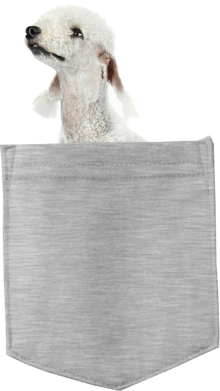 Bedlington Terrier Dog in pocket Fridge Car Magnet Bumper Sticker App size 4"x7"