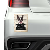 Boston Terrier Mugshot Bad Dog Fridge refrigerator Car Magnet