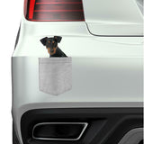 German Pinscher Dog in pocket Fridge Car Magnet Bumper Sticker App size 4"x7"