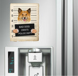 Icelandic Sheepdog Mugshot Bad Dog Fridge refrigerator Car Magnet