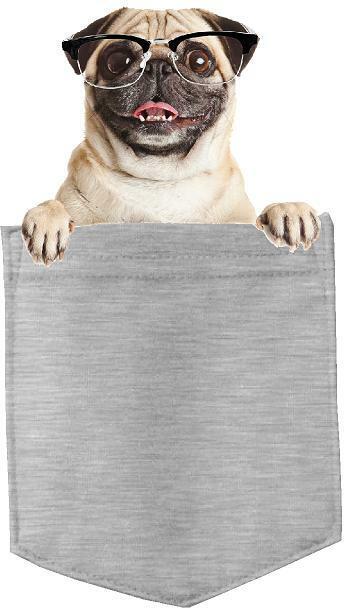 Pug w Glasses Dog in pocket Fridge Car Magnet Bumper Sticker App size 4"x7"