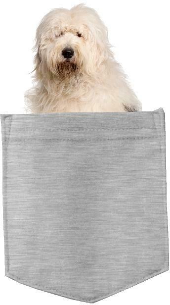 Old English Sheepdog in pocket Fridge Car Magnet Bumper Sticker App size 4"x7"