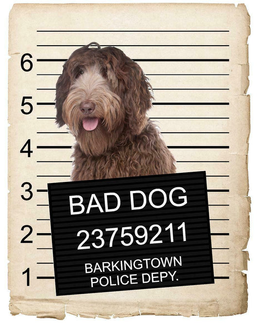 Labradoodle Mugshot Bad Dog Fridge refrigerator Car Magnet