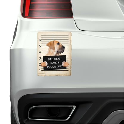 Boerboel Mugshot Bad Dog Fridge refrigerator Car Magnet