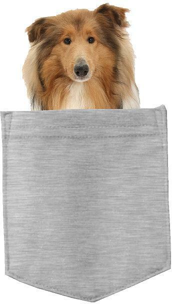 Collie Dog in pocket Fridge Car Magnet Bumper Sticker App size 4"x7"