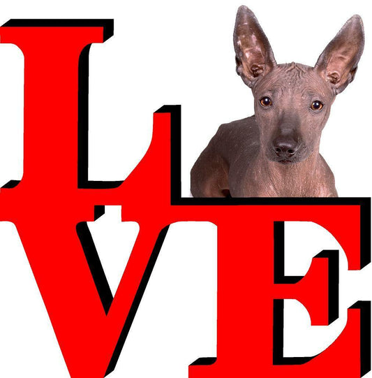 Xoloitzcuintli Cute Dog Fridge Refrigerator Car Magnet